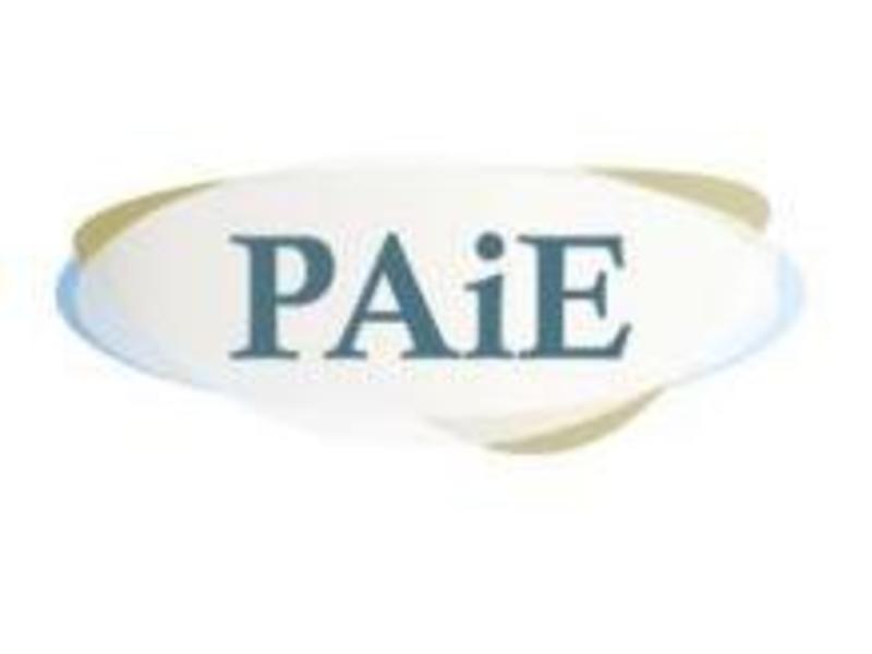 24 September 2024: Risk management: social media in the company | Russell Advocaten Amsterdam paie-social-media.5932f2