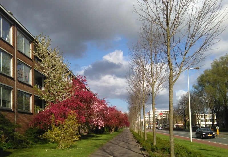 Foto: Buitenveldertenaar, CC-BY-SA 4.0